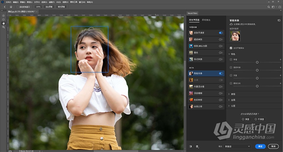 Adobe Photoshop 2022 23.2.1.303 中文版 含Neural Filters神经网络滤镜 Win版本  灵感中国网 www.lingganchina.com