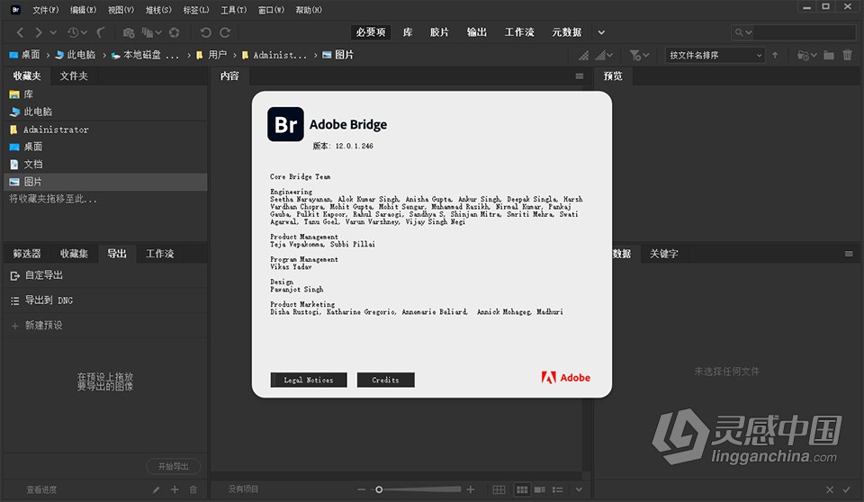 Br 2022 创意资源管理器 Adobe Bridge 2022 12.0.1.246 Win中文版下载  灵感中国网 www.lingganchina.com