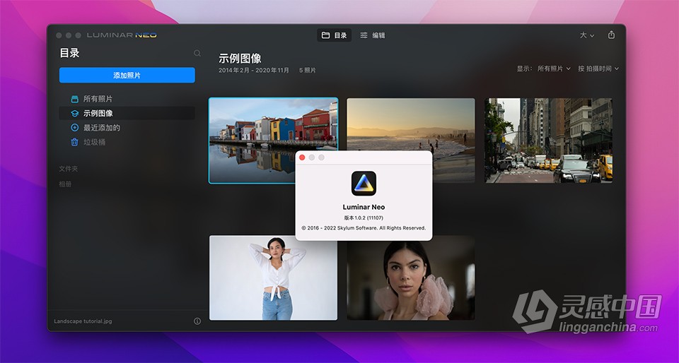 AI智能创意图片编辑器Luminar Neo v1.0.2 (11107) for mac中文激活版下载  灵感中国网 www.lingganchina.com