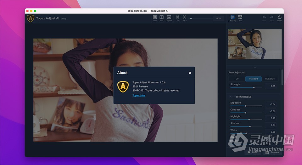 AI智能HDR渲染 Topaz Adjust AI v1.0.6 for Mac激活版下载  支持PS2022  灵感中国网 www.lingganchina.com
