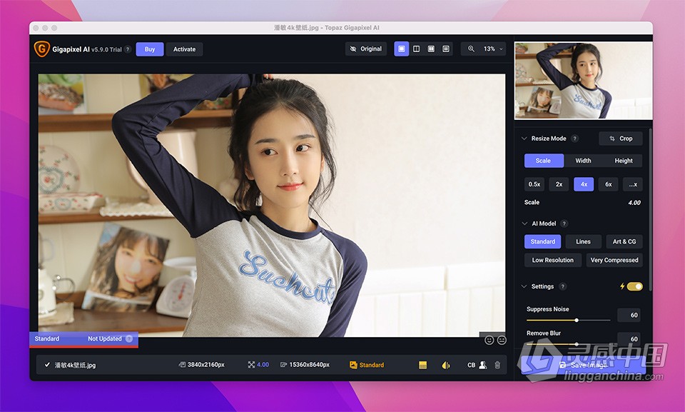 Ai智能图片无损放大软件 Topaz Gigapixel AI 5.9.0 for Mac激活版下载  灵感中国网 www.lingganchina.com