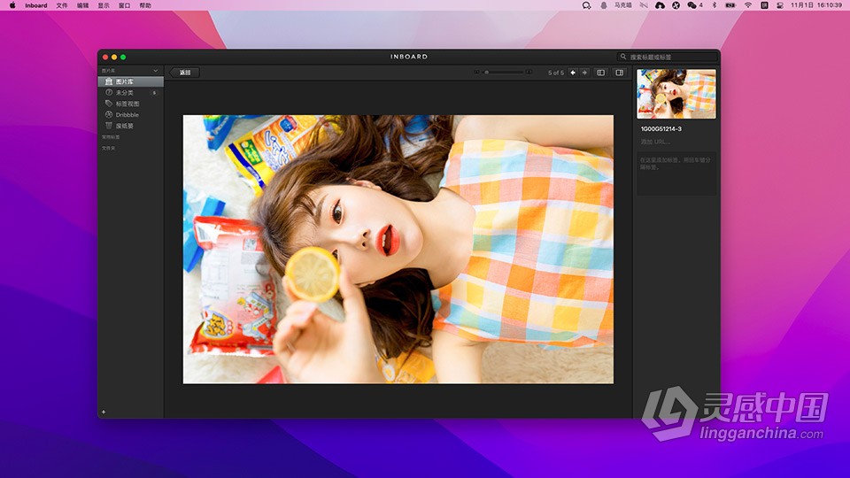 图片素材管理工具 Inboard 1.1.6 for Mac 中文激活版下载  灵感中国网 www.lingganchina.com