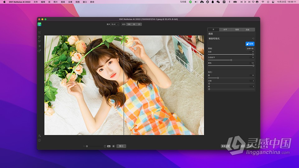 AI智能降噪软件 ON1 NoNoise AI 2022.5 v16.5.1.12526 for mac 中文版下载  灵感中国网 www.lingganchina.com