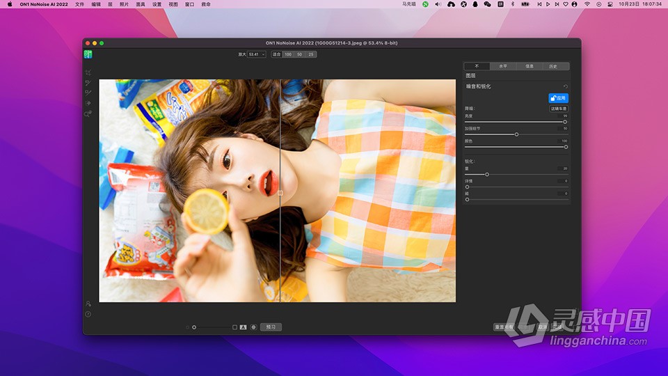 AI智能降噪软件 ON1 NoNoise AI 2022.5 v16.5.1.12526 for mac 中文版下载  灵感中国网 www.lingganchina.com