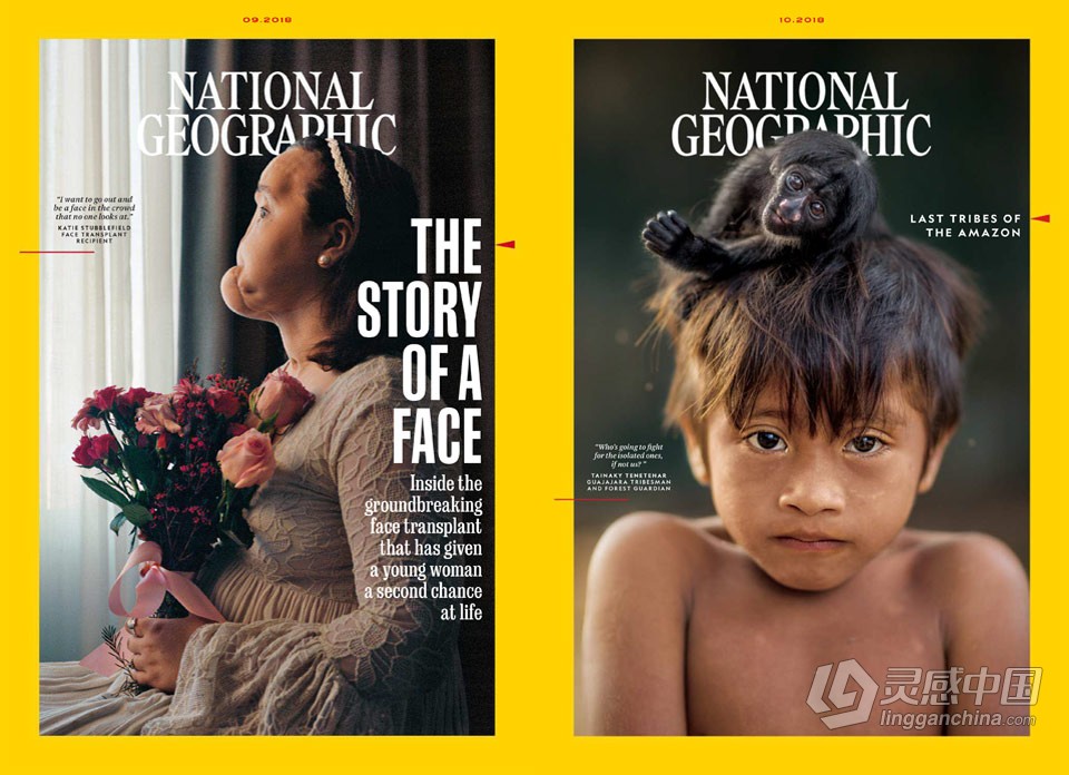 National Geographic USA -美国地理摄影杂志2018全年1-12期合集  灵感中国网 www.lingganchina.com