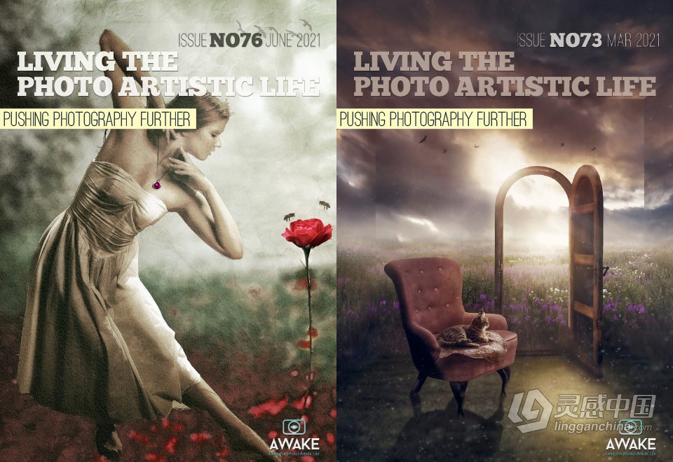 过上摄影艺术生活-2021年全年1-12期 Living the Photo Artistic Life 2021  灵感中国网 www.lingganchina.com