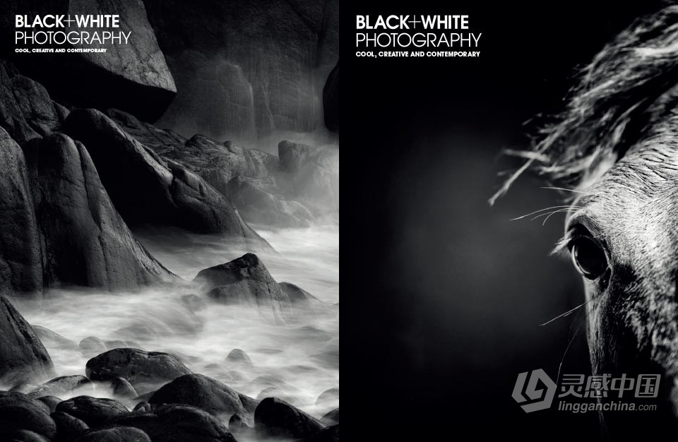 黑白摄影-2021年全年系列12期 Black White Photography Full Year 2021  灵感中国网 www.lingganchina.com