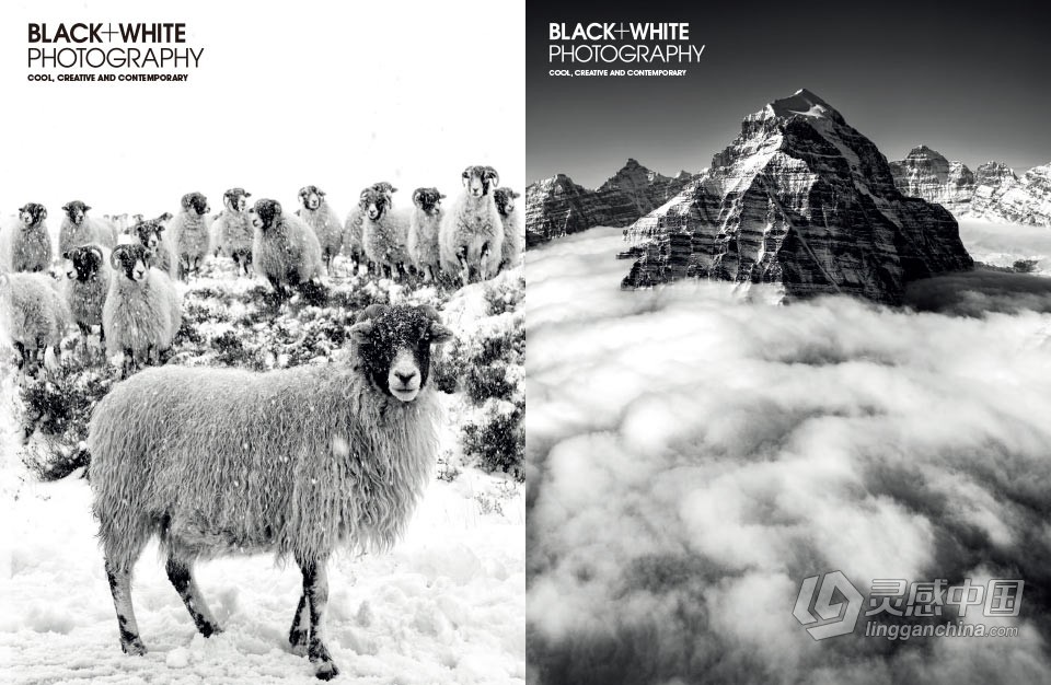 黑白摄影-2021年全年系列12期 Black White Photography Full Year 2021  灵感中国网 www.lingganchina.com