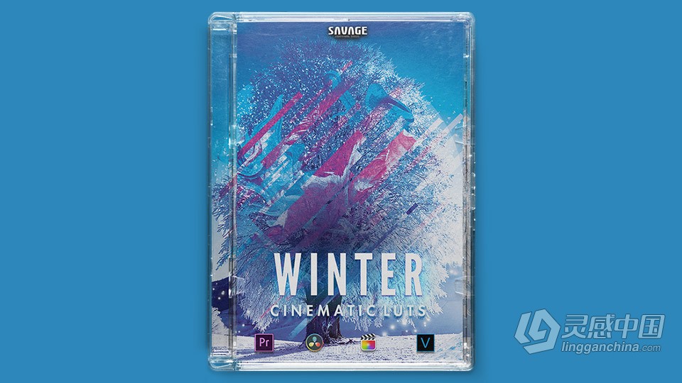 冬季户外场景LUT调色预设 WINTER LUTS PACK  灵感中国网 www.lingganchina.com