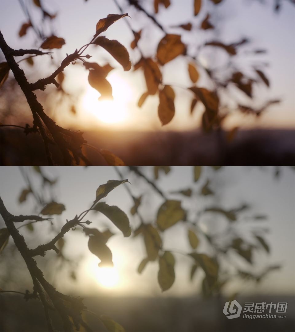 索尼A7S III / A7III HLG和 S-LOG的LUT调色预设 LUTs for Sony A7S III / A7III for HLG &amp;  灵感中国网 www.lingganchina.com