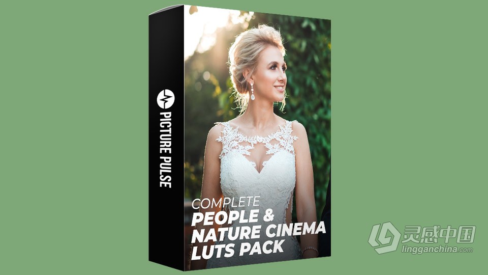 16个人物肖像与自然主题婚礼电影LUT调色预设 Complete People &amp; Nature Cinema LUT Bundle  灵感中国网 www.lingganchina.com