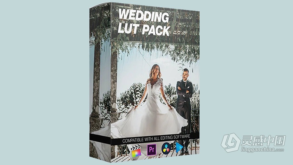 15个实用婚礼视频场景LUT调色预设包 Wedding LUT Pack - Final Cut Pro / Adobe Premiere Pro  灵感中国网 www.lingganchina.com