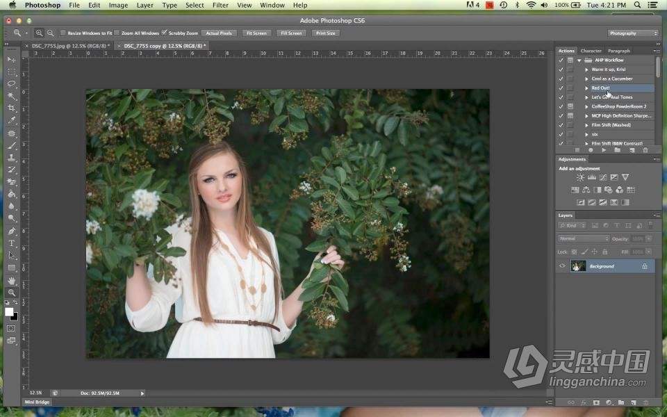 PS手动编辑写真后期图像处理工作流程视频教程  灵感中国网 www.lingganchina.com