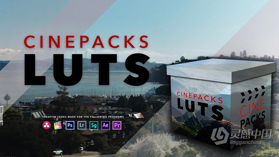 30种电影色彩LUTS调色预设 CINEPACKS LUTS  灵感中国网 www.lingganchina.com