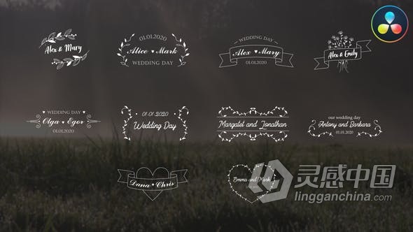 DR达芬奇模板-酷炫歌词封面邀请函婚礼文字标题动画 Wedding Titles DaVinci Resolve  灵感中国网 www.lingganchina.com