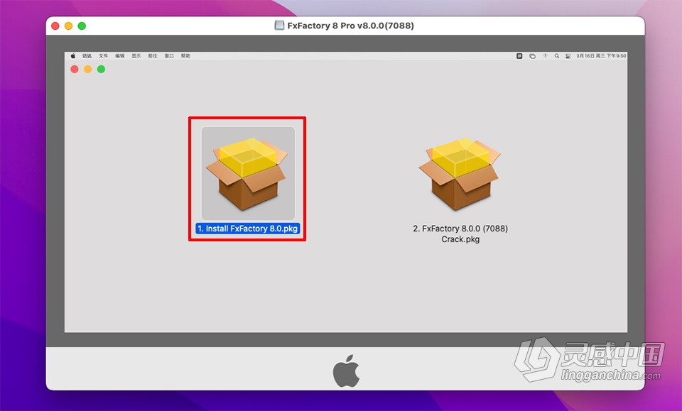 FxFactory 8 Pro for Mac 视觉特效软件包 V8.0(7088)激活版 fcpx/ae/motion  灵感中国网 www.lingganchina.com