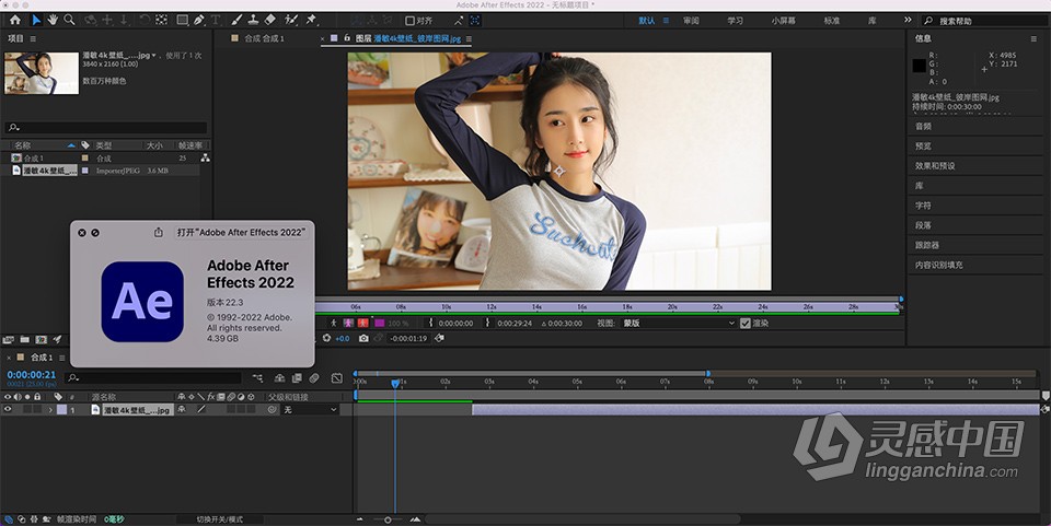 AE 2022苹果版 After Effects 2022 v22.4.0 for Mac 中文激活版 intel/M1通用  灵感中国网 www.lingganchina.com