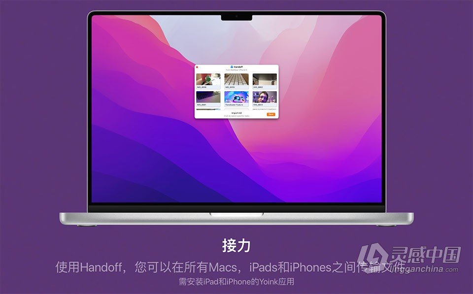 Yoink v3.6.82 for Mac 中文激活版 一款移动复制文件效率工具下载  灵感中国网 www.lingganchina.com