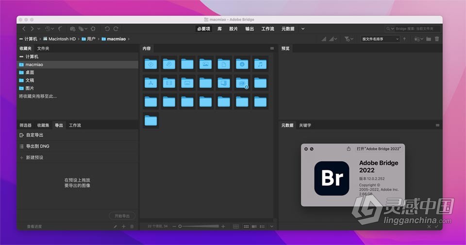 Br 2022苹果版 Bridge 2022 v12.0.2 for Mac 中文激活版 intel/M1通用  灵感中国网 www.lingganchina.com