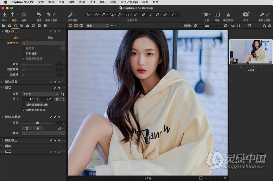 飞思软件RAW图像编辑软件 Capture One 22 Pro v15.2.1.14 for mac 中文激活版下载  灵感中国网 www.lingganchina.com