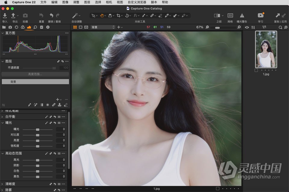 飞思软件RAW图像编辑软件 Capture One 22 Pro v15.2.1.14 for mac 中文激活版下载  灵感中国网 www.lingganchina.com