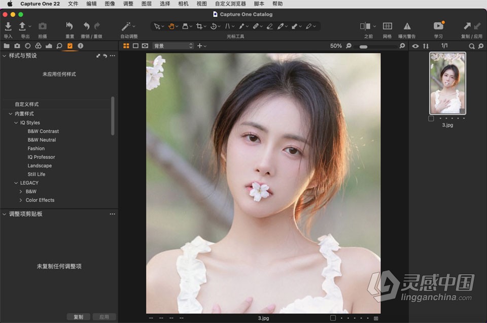 飞思软件RAW图像编辑软件 Capture One 22 Pro v15.2.1.14 for mac 中文激活版下载  灵感中国网 www.lingganchina.com