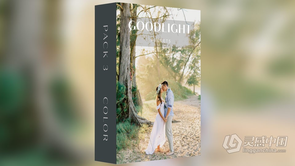 科迪和奥斯汀婚礼人像清新通透胶片风格LR预设 Goodlight Presets pack 3 Color  灵感中国网 www.lingganchina.com