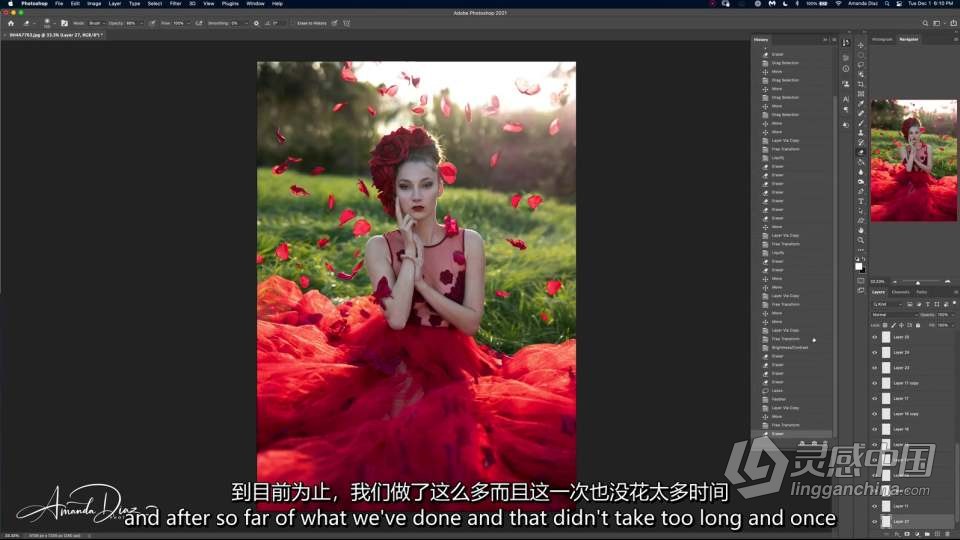 摄影大师Amanda Diaz -摄影构图大师班-艺术合成图像教程-中英字幕  灵感中国网 www.lingganchina.com