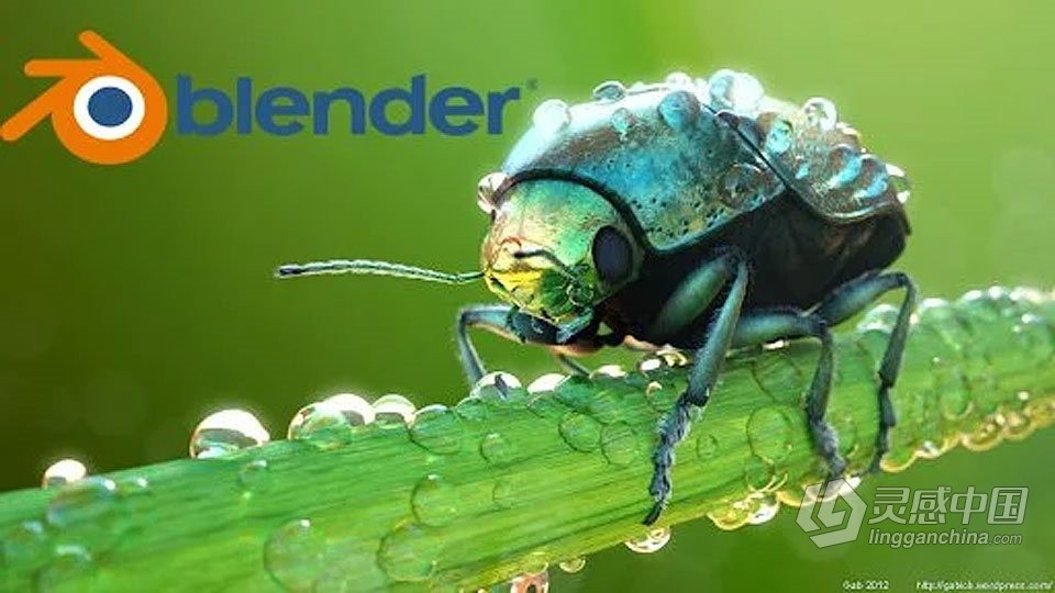 Blender超实用实例制作技能训练视频教程  灵感中国网 www.lingganchina.com