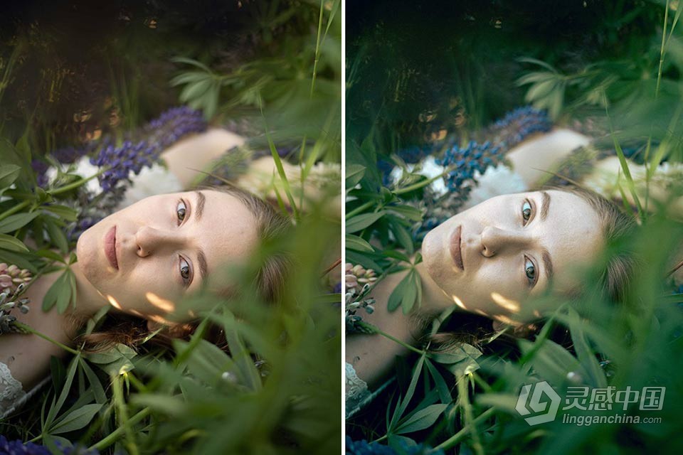 俄罗斯摄影师 Polina Washington 人像lr预设 Botanical Garden Presets  灵感中国网 www.lingganchina.com