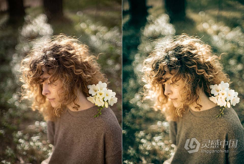 俄罗斯摄影师 Polina Washington 人像lr预设 Botanical Garden Presets  灵感中国网 www.lingganchina.com