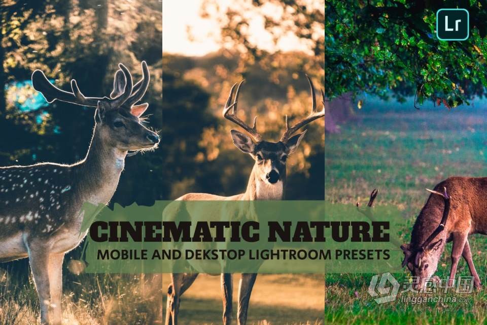 高品质电影自然风光Lightroom预设 Cinematic Nature Lightroom Presets Dekstop Mobile  灵感中国网 www.lingganchina.com