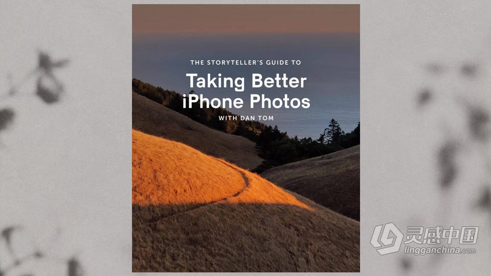 Dan Tom - 一起拍摄更好的 iPhone 照片的讲故事者指南-中英字幕  灵感中国网 www.lingganchina.com