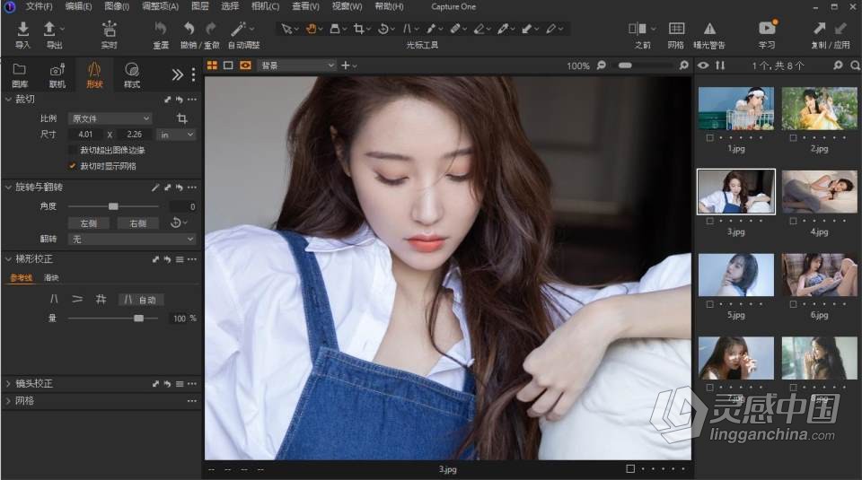 飞思企业版软件RAW图像处理软件 Capture One 22 Enterprise 15.3.1.17 中文版 Win版本下载  灵感中国网 www.lingganchina.com