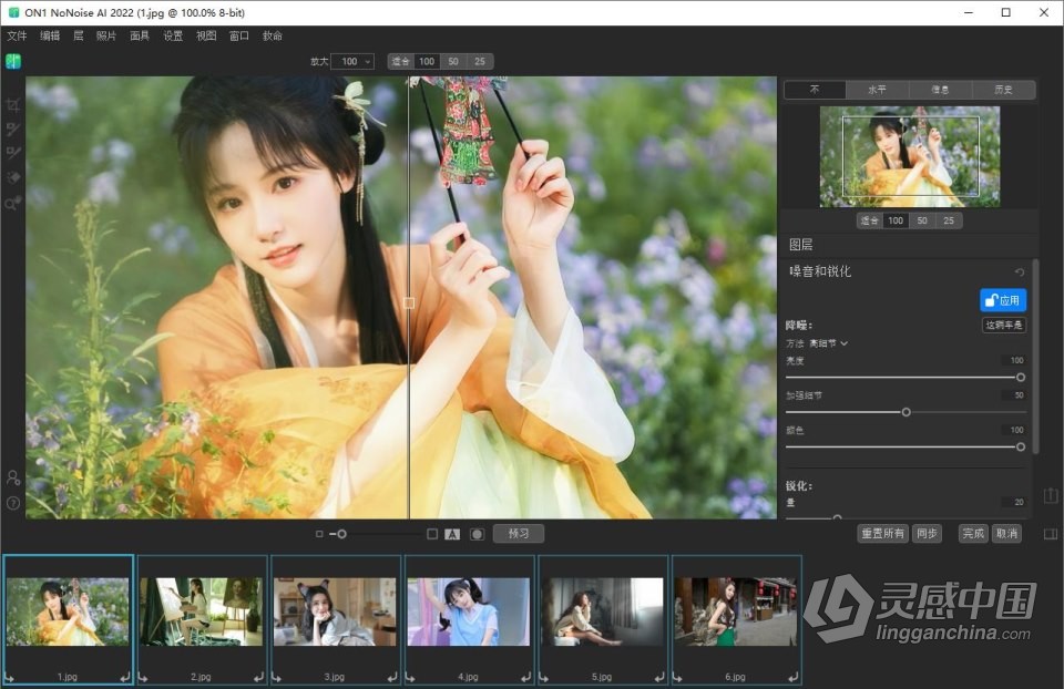 AI智能降噪软件 ON1 NoNoise AI 2022.5 v16.5.1.12526 中文版 WIN系统下载  灵感中国网 www.lingganchina.com