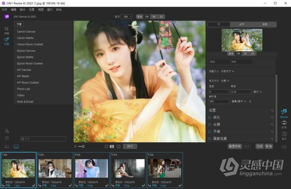 图片无损放大打印软件 ON1 Resize AI 2022.5 v16.5.1.12526 中文版 WIN系统下载  灵感中国网 www.lingganchina.com