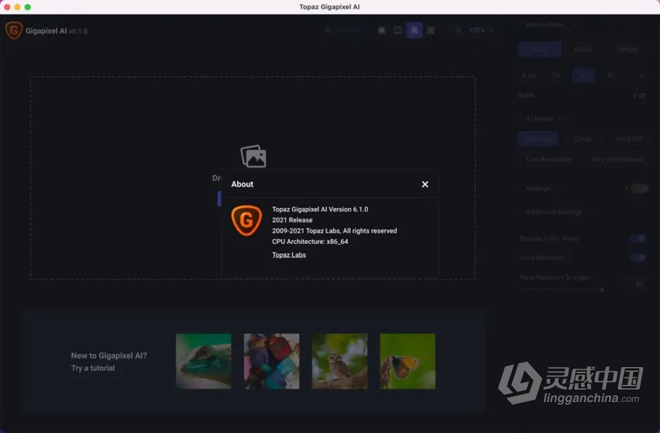 AI智能照片无损放大软件PS插件 Topaz Gigapixel AI 6.1.0 Mac系统下载  灵感中国网 www.lingganchina.com