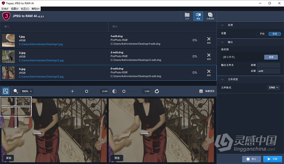 Topaz JPEG to RAW AI 2.2.1 汉化版 AI智能JPEG转RAW图像转换软件 WIN中文版  灵感中国网 www.lingganchina.com