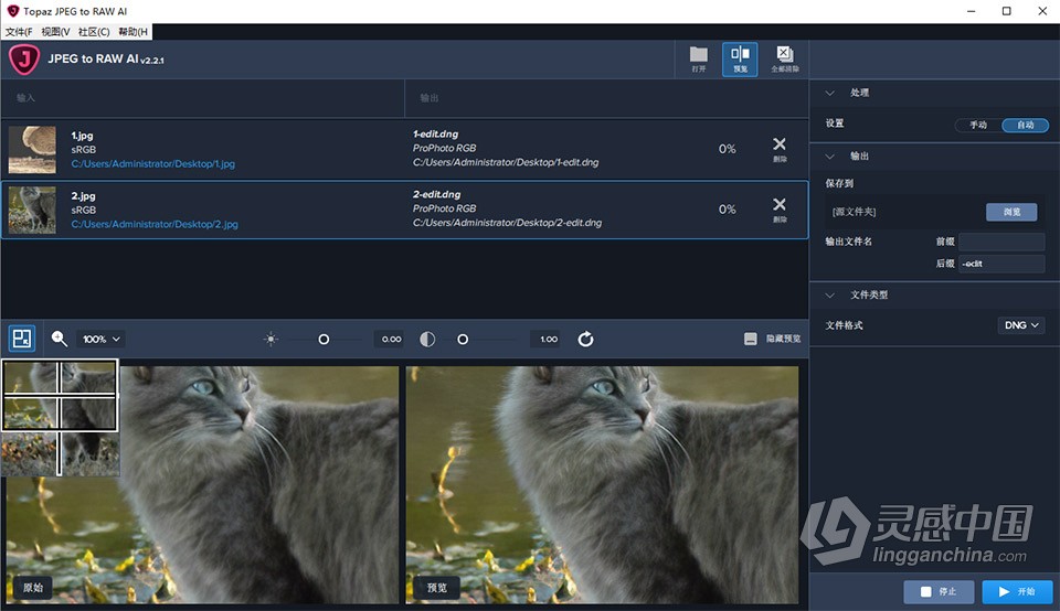 Topaz JPEG to RAW AI 2.2.1 汉化版 AI智能JPEG转RAW图像转换软件 WIN中文版  灵感中国网 www.lingganchina.com