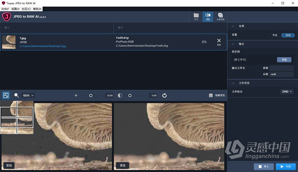 Topaz JPEG to RAW AI 2.2.1 汉化版 AI智能JPEG转RAW图像转换软件 WIN中文版  灵感中国网 www.lingganchina.com