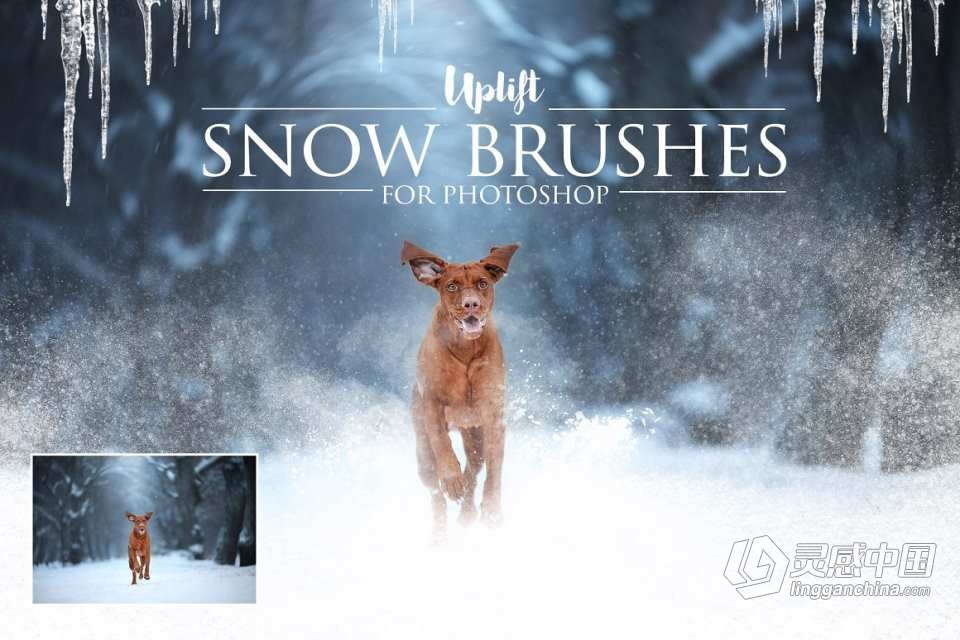 【PS笔刷】25款冬天下雪雪花雪景冰柱PS笔刷 25 Snow Brushes for Photoshop  灵感中国网 www.lingganchina.com