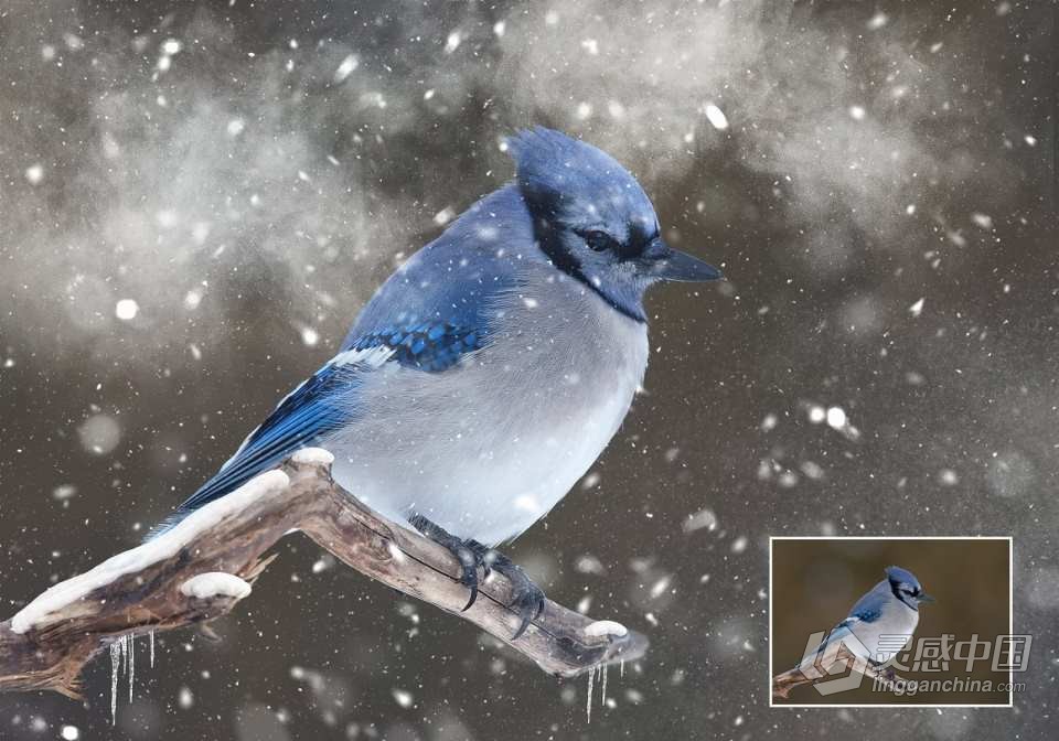 【PS笔刷】25款冬天下雪雪花雪景冰柱PS笔刷 25 Snow Brushes for Photoshop  灵感中国网 www.lingganchina.com