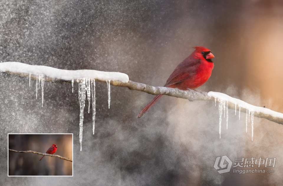 【PS笔刷】25款冬天下雪雪花雪景冰柱PS笔刷 25 Snow Brushes for Photoshop  灵感中国网 www.lingganchina.com