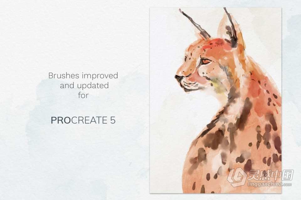 【Procreate笔刷】21款淡雅水彩纹理笔刷Ipad笔刷Procreate笔刷套装 带纹理纸张 Procreate watercolor brushes  灵感中国网 www.lingganchina.com