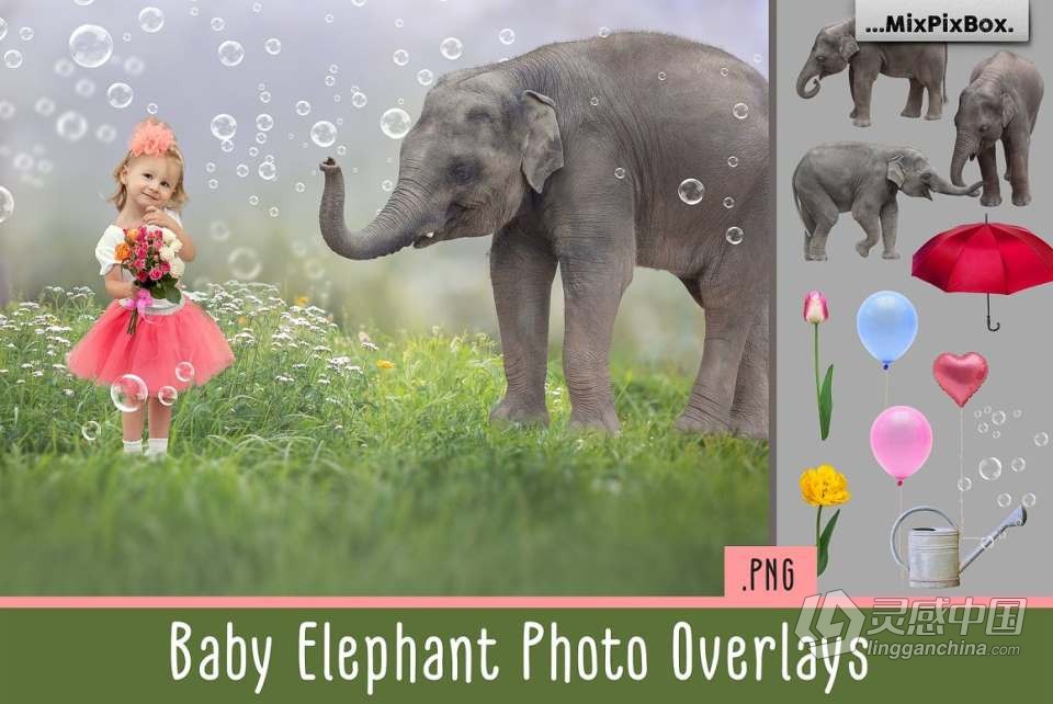 20张童趣小象花伞气球水泡元素照片合成PNG素材 Baby Elephant Photo Overlays  灵感中国网 www.lingganchina.com