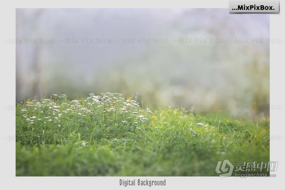 20张童趣小象花伞气球水泡元素照片合成PNG素材 Baby Elephant Photo Overlays  灵感中国网 www.lingganchina.com