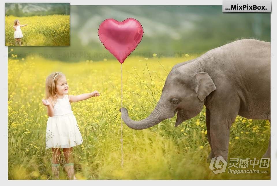 20张童趣小象花伞气球水泡元素照片合成PNG素材 Baby Elephant Photo Overlays  灵感中国网 www.lingganchina.com