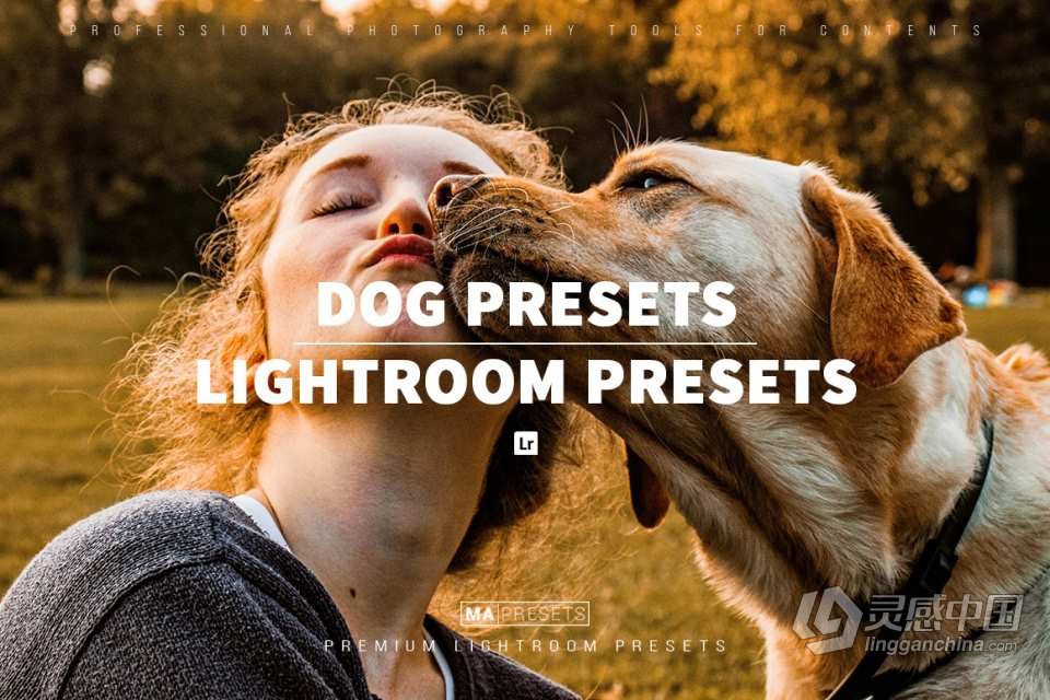 宠物狗摄影后期调色LR预设 10 DOG – Mobile &amp; Desktop Lightroom Presets  灵感中国网 www.lingganchina.com