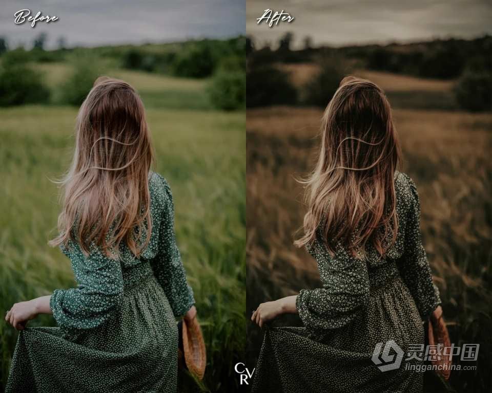 波西米亚INS人像风格调色Lightroom预设 Boho Style Lightroom Presets  灵感中国网 www.lingganchina.com