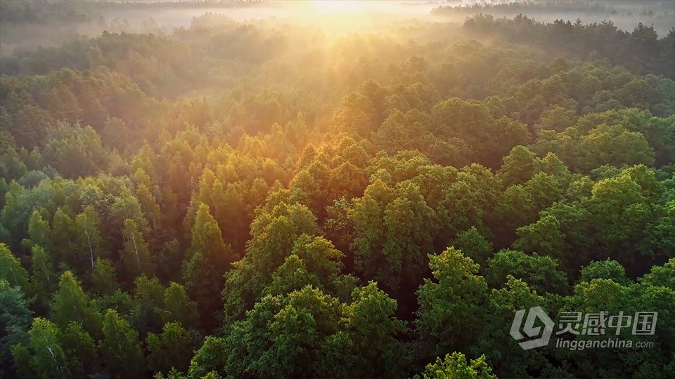 实拍视频素材-清晨空中俯瞰着茂盛的山区绿林日出实拍视频素材  灵感中国网 www.lingganchina.com